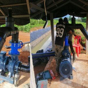 ໂຄງການສວນຖົ່ວລຽນ ເມືອງບາຈຽງ ແຂວງຈຳປາສັກ 2